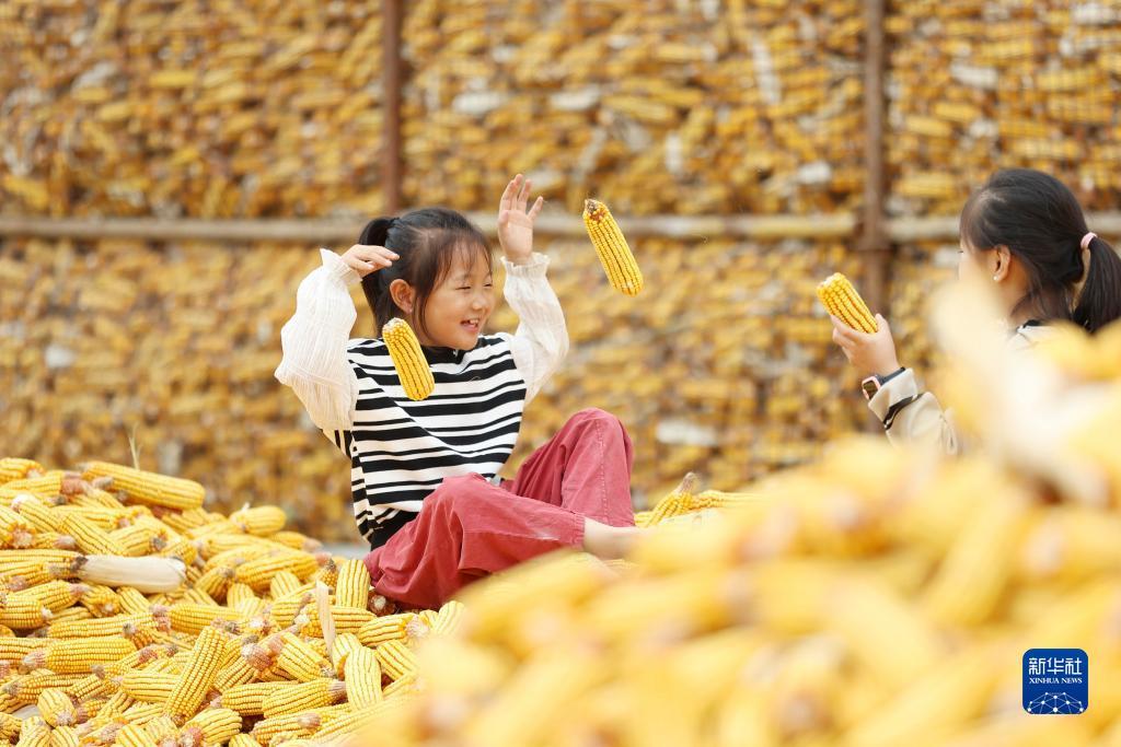 BBIN糖果派对